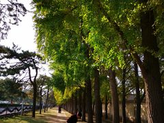 -钓鱼台国宾馆