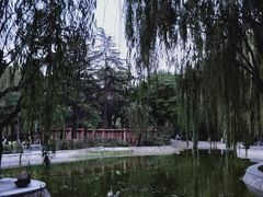 -西安市长乐公园
