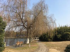 -南京航空航天大学(将军路校区)