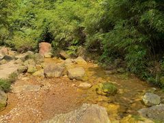 -南海湾森林生态园