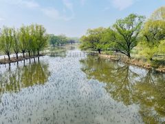 -北京麋鹿生态实验中心