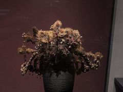 -贵州省博物馆(新馆)