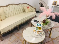 -La Rose·轻奢皮肤管理