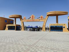 -金塔沙漠胡杨林景区