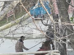 -张公山寨景区