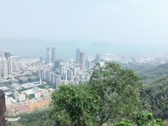 -麦当劳(金稻田路餐)