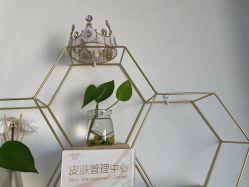 -凡碧诗毛孔收细