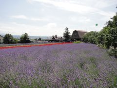 -富田农场