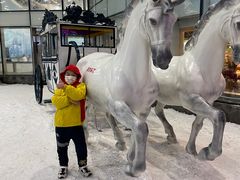 -世界之窗阿尔卑斯冰雪世界