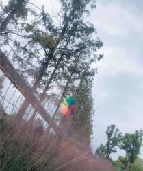 -前小桔亲子创意农场·草莓采摘·露营烧烤