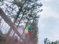 -前小桔亲子创意农场·草莓采摘·露营烧烤