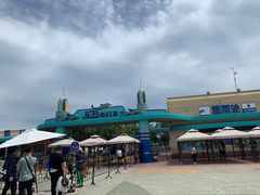 -秦皇岛乐岛海洋王国