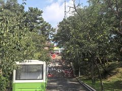 -青岛中山公园-索道售票处