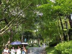 -柳侯公园