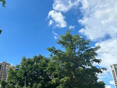 -三门江国家森林公园