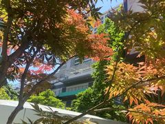 -美菲特健身(华贸店)
