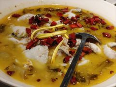 -佬肥猫(七宝宝龙店)