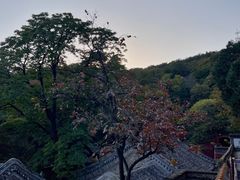 -潭柘寺景区