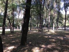 -二一九公园