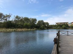 -溱湖国家湿地公园