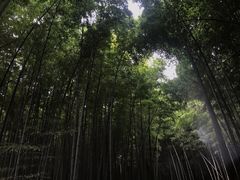 -宝岩生态观光园