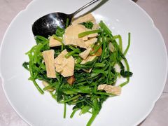红根菠菜炒鲜腐竹-船歌·鱼水饺青岛菜(闽江二路店)