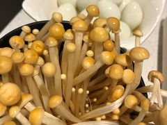 -海底捞火锅(高科广场店)