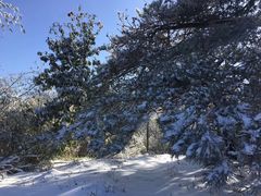 -东天目山风景区