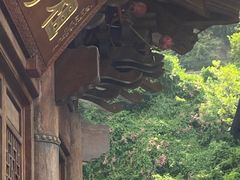 -厦门鸿山寺