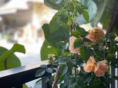 -The Flowers Coffee(南山店)