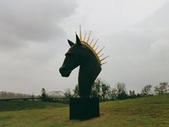 -白鹭湾湿地公园