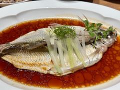 -宁波柏悦酒店·钱湖渔港