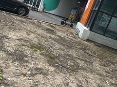 -上海第二工业大学西食苑