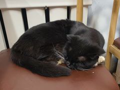 -陕西特色牛肉面