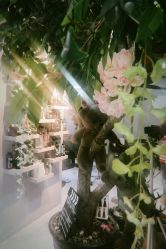 大厅-GIRL STYLE 烫发·染发沙龙
