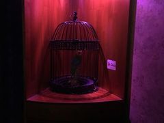 -MC精品真人密室逃脱(星游城店)