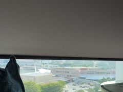 -新加坡文华东方酒店