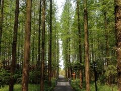 iphone_upload_pic-上海怡沁园度假酒店