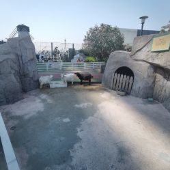 -造物庄园 萌宠纪(苏州湾歌林公园店)