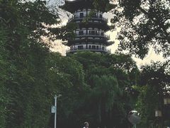 -洋湖国家湿地公园