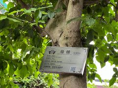 -广州神农草堂中医药博物馆