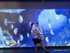 -北戴河圣蓝海洋公园