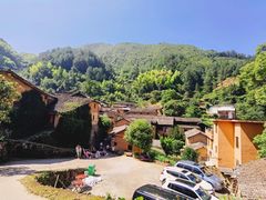 -杨家堂村