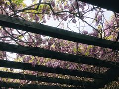 -九龙潭景区