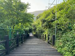 -树山生态村
