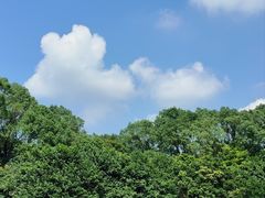 -广州市帽峰山景区