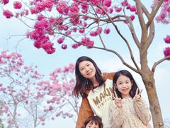 -万科前海企业公馆