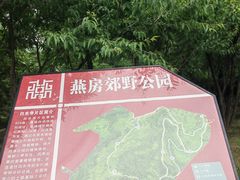 -白水寺森林公园