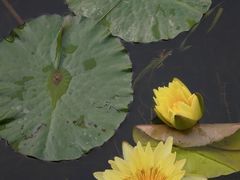 -云溪植物园
