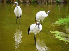 -杭州野生动物世界